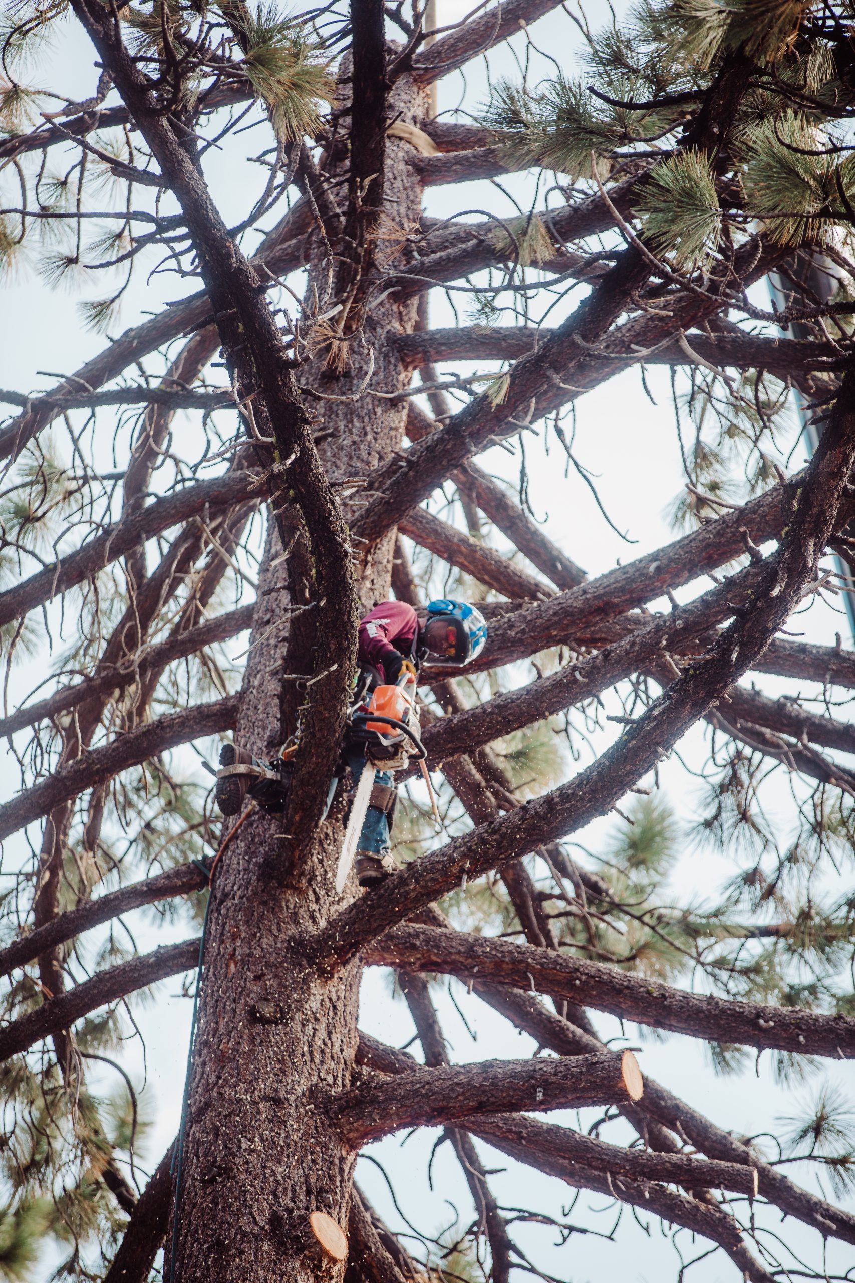 Sage River Photography